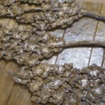 Carved Walnut Panel for custom door