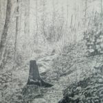 "A Path Through the Woods", pencil drawing