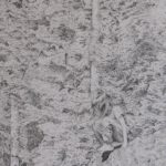 Adventure, The Leap, 10 x 22, pencil drawing