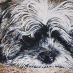 Bruno 13x18 oil on canvas panel