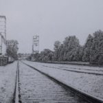 Bunge, 14x18 pencil