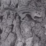 "A heightened Awareness" pencil drawing