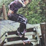 "In Flight", 15x30, Oil on Canvas Board