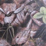 "New growth", acrylic on canvas