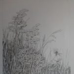 A drawing of wildflowers in pencil used for the carving design.