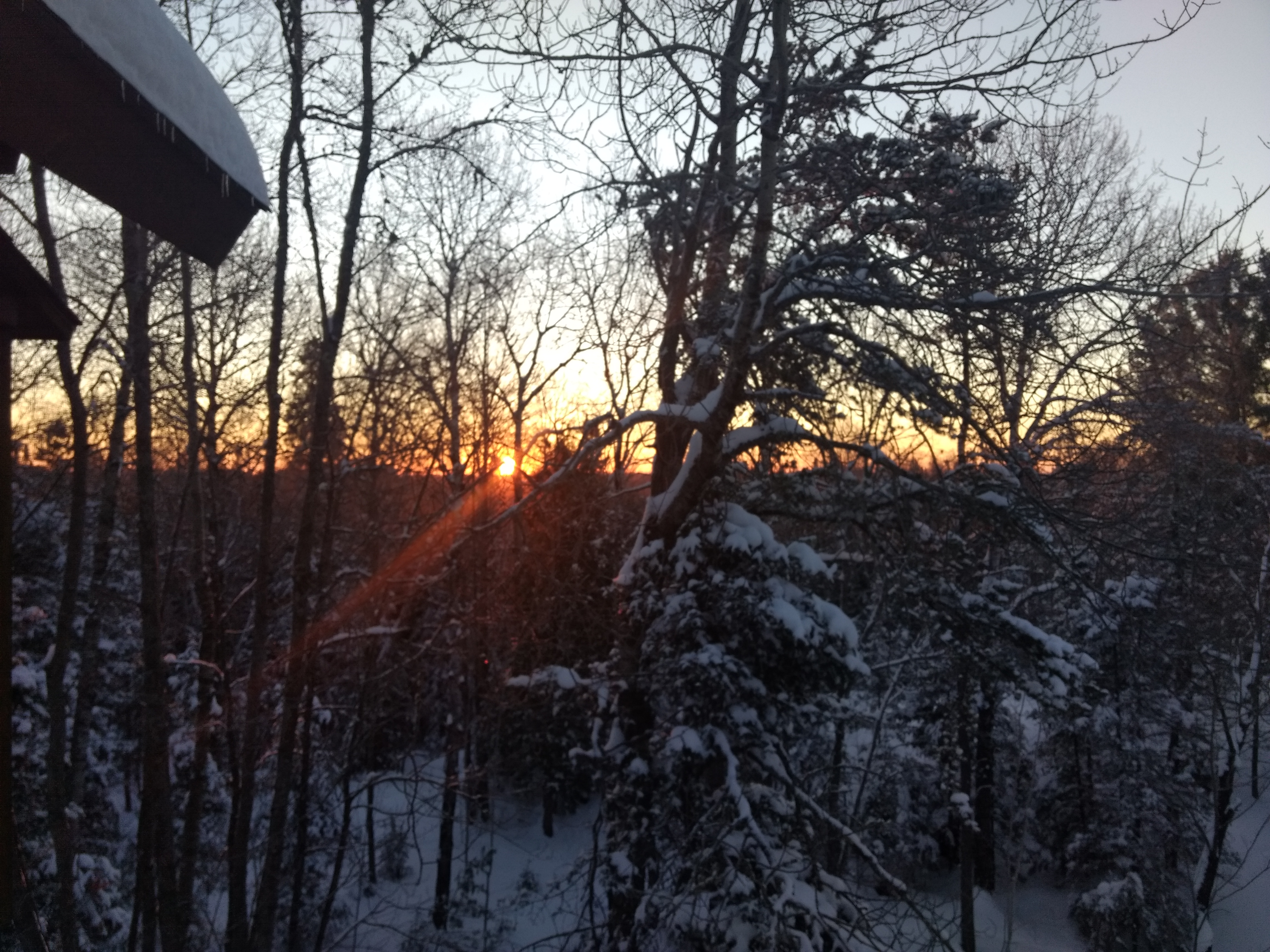 Sunrise off my deck, Ely Minnesota, Feb 21, 2018